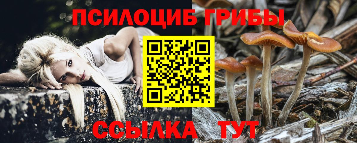 Арсеньев  наркота  Вход с VPN  Галлюциногенные грибы Psilocybine cubensis 